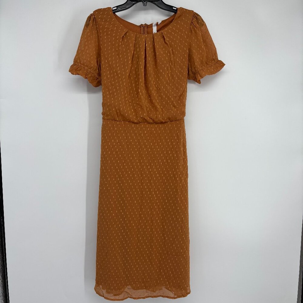 NY Collection Women Short Sleeve Belted Swiss Dot Dress Meerkat Rectangle PM NWT - Picture 2 of 8